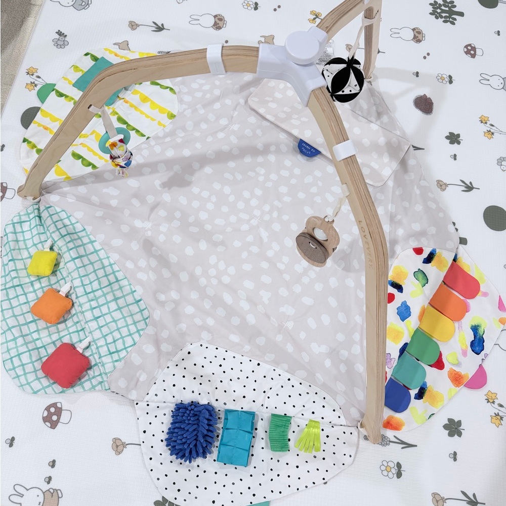 Lovevery Baby Play Gym